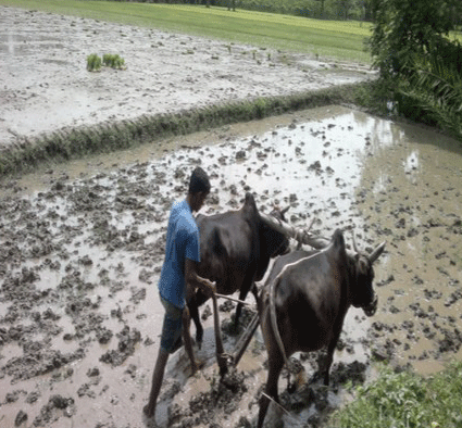 Agriculture-and-Food-Security---Mozilla-Firefox